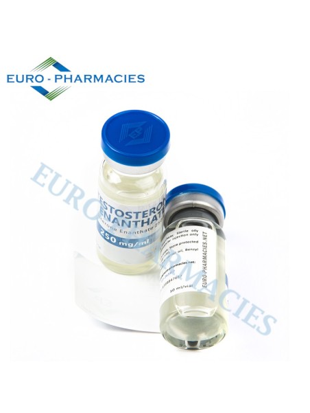 Testosterone Enanthate - 250mg/ml 10ml/vial - EP - USA