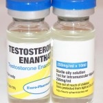 The Effects of Testosterone -Man's Best Friend