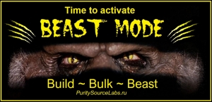 Beast Mode cycle (buy now) BULK BULK BULK! 