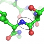 Peptide & Anabolic Assault